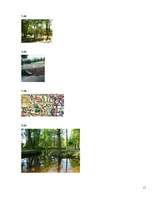 Referāts 'Iļģuciema tūristu piesaistes objekti', 11.