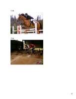 Referāts 'Iļģuciema tūristu piesaistes objekti', 13.