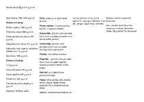 Konspekts 'Eiropas vēstures īsa hronoloģija', 2.