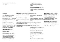 Konspekts 'Eiropas vēstures īsa hronoloģija', 4.