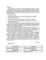 Referāts 'Personāla vadīšana Latvijas valsts pārvaldē', 14.