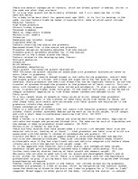 Eseja 'Factors Involved for Growth in a Baby, Before and After Birth', 1.