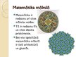 Prezentācija 'Matemātika un māksla', 9.