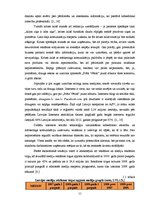 Referāts 'Interneta lietotāju attieksme pret reklāmu portālos', 13.