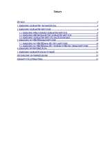 Referāts 'Krājumu uzskaite', 2.