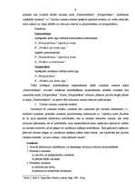 Referāts 'Krājumu uzskaite', 9.