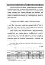 Referāts 'Krājumu uzskaite', 17.