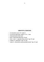 Referāts 'Krājumu uzskaite', 25.