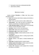 Referāts 'Komunikācija ', 11.