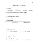 Referāts 'Konkurētspējas paaugstināšanas projekts', 2.