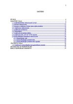 Referāts 'Konkurētspējas paaugstināšanas projekts', 3.