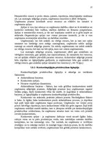 Referāts 'Konkurētspējas paaugstināšanas projekts', 27.