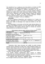 Referāts 'Konkurētspējas paaugstināšanas projekts', 31.