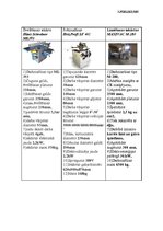 Referāts 'Konkurētspējas paaugstināšanas projekts', 38.