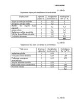 Referāts 'Konkurētspējas paaugstināšanas projekts', 40.