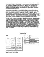 Referāts 'Izglītības sistēma Vācijā un Lielbritānijā', 5.