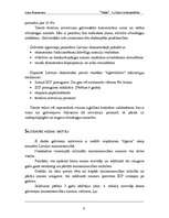 Referāts '“Tīģeri” Latvijas tautsaimniecībā', 6.