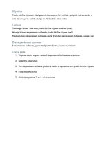 Paraugs 'Plaušu dzīvības tilpuma izpēte', 3.