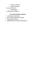 Biznesa plāns 'Salons "Roze"', 3.