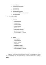 Biznesa plāns 'Salons "Roze"', 5.