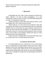 Biznesa plāns 'Salons "Roze"', 13.