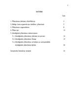 Referāts 'Stratēģiskā plānošana', 2.