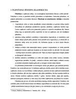 Referāts 'Stratēģiskā plānošana', 3.