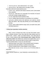 Referāts 'Stratēģiskā plānošana', 5.