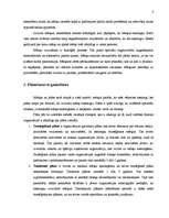 Referāts 'Stratēģiskā plānošana', 8.