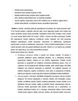 Referāts 'Stratēģiskā plānošana', 11.