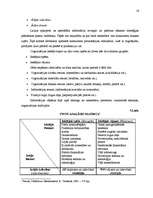 Referāts 'Stratēģiskā plānošana', 16.