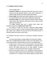 Referāts 'Stratēģiskā plānošana', 20.