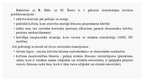 Prezentācija 'Demokrātiskais politiskais režīms', 7.