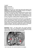 Konspekts 'Kļūdu labojums patoloģijā', 2.