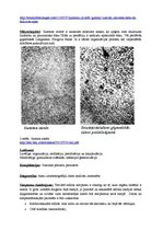 Konspekts 'Kļūdu labojums patoloģijā', 3.