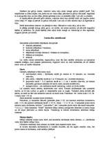 Referāts 'Slēpošana', 6.