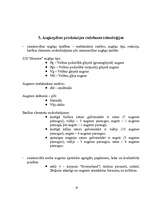 Prakses atskaite 'Z/S "Straume" ', 19.