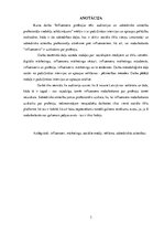 Referāts 'Influencera profesijas tēls: auditorijas un sabiedrisko attiecību profesionāļu v', 3.