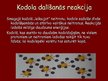 Prezentācija 'Kodolreakcijas', 4.