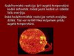 Prezentācija 'Kodolreakcijas', 8.