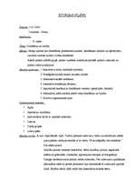 Prakses atskaite 'Valsts prakses psiholoģijas stundu plāni vidusskolā', 1.