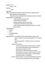 Prakses atskaite 'Valsts prakses psiholoģijas stundu plāni vidusskolā', 3.