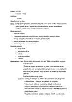 Prakses atskaite 'Valsts prakses psiholoģijas stundu plāni vidusskolā', 5.