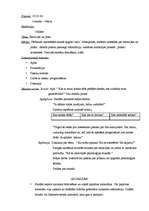 Prakses atskaite 'Valsts prakses psiholoģijas stundu plāni vidusskolā', 7.