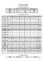 Biznesa plāns 'SIA "Garāža"', 13.