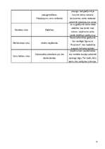 Biznesa plāns 'SIA "Garāža"', 19.