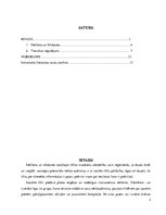 Referāts 'Reklāma un sīkdatnes sociālajos tīklos', 2.