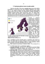 Referāts 'SIA "Melnā kafija" stratēģiskā analīze', 16.