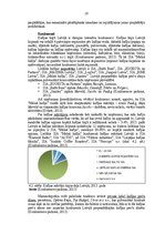 Referāts 'SIA "Melnā kafija" stratēģiskā analīze', 19.
