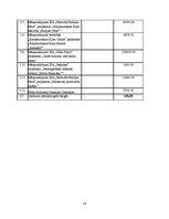 Referāts 'Latvijas Kultūras fonda budžeta salīdzinājums', 14.